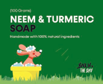 Ayouthveda Neem Turmeric Soap 100gm