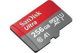 Sandisk 256GB Ten Class Memary Card